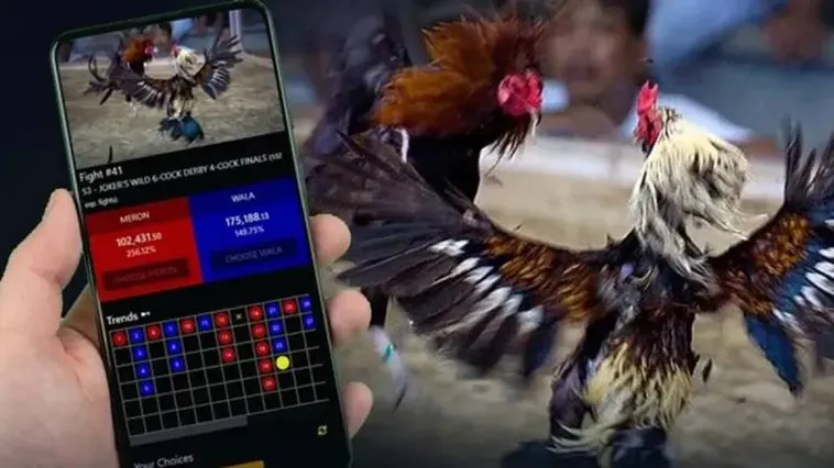 Đá Gà 188Bet Giải Trí Đỉnh Cao Và Cơ Hội Đầu Tư Hấp Dẫn 2025